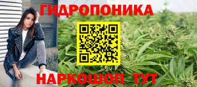 не бодяженный Краснодар