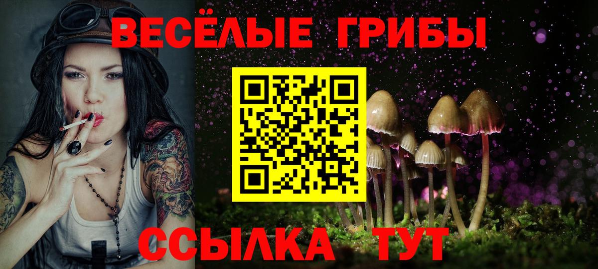 Псилоцибиновые грибы мицелий  Галлюциногенные грибы мицелий  Вход с VPN  Коряжма 